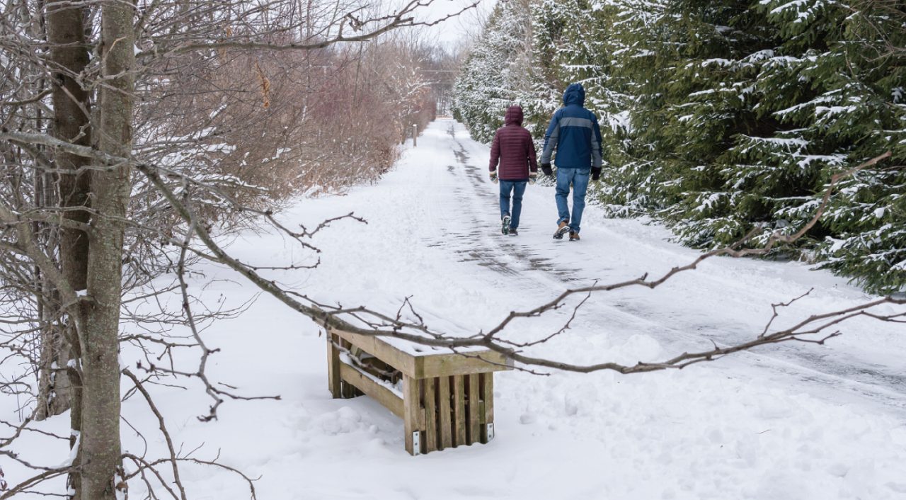 A couple walking on a snowy trail