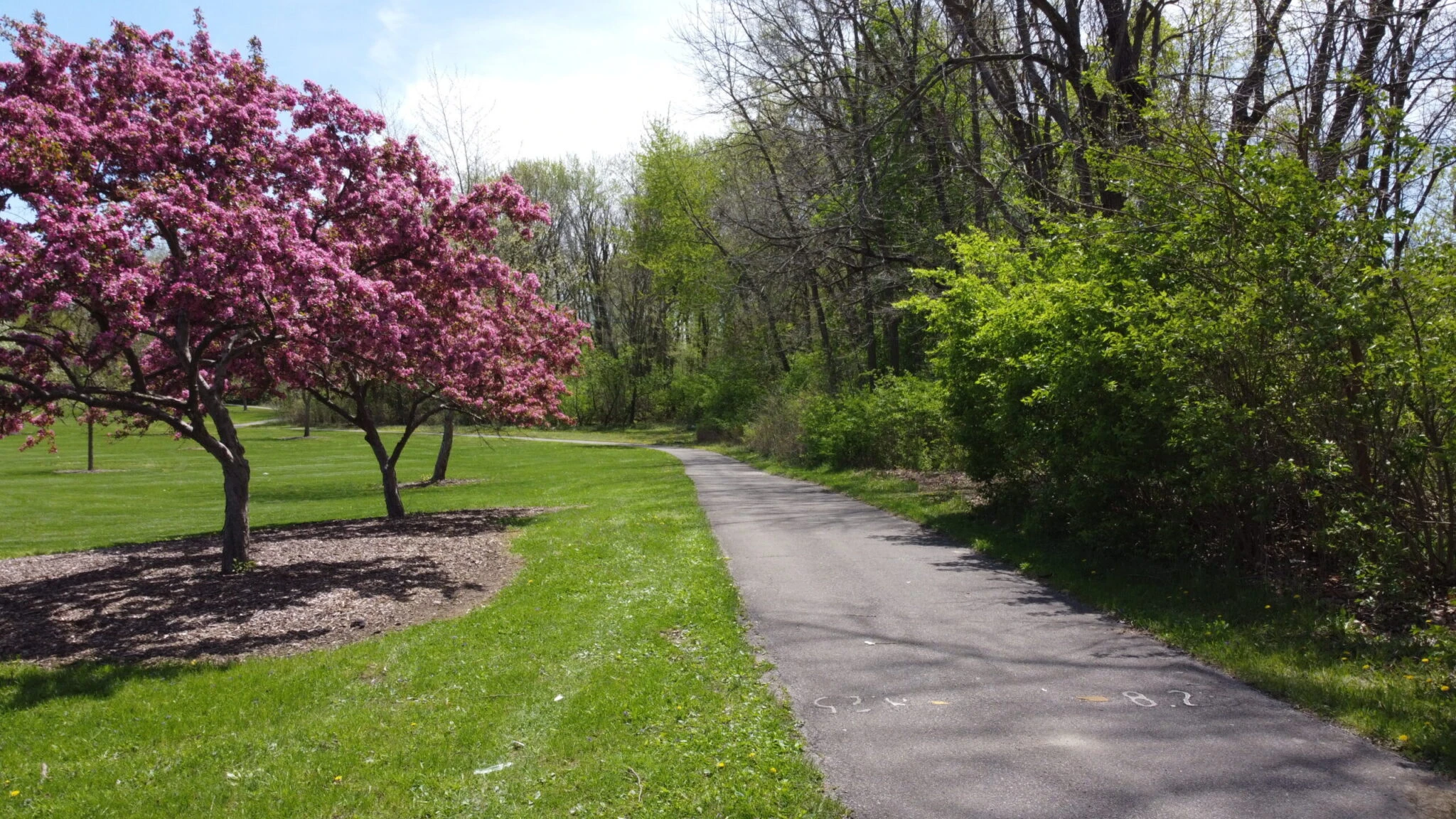 A Million Dreams Nature Trail at Paul Harding